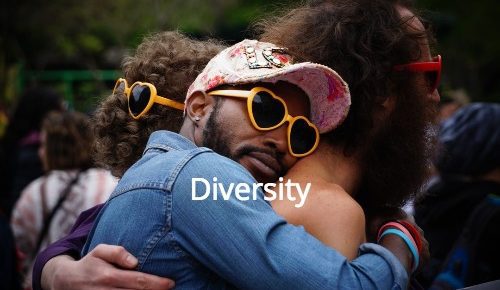 Diversity: the real silver bullet
