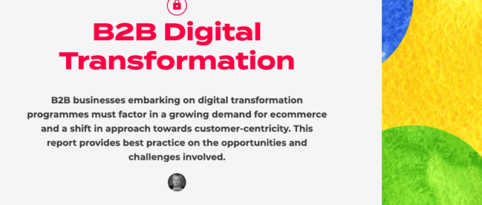 B2B Digital Transformation report
